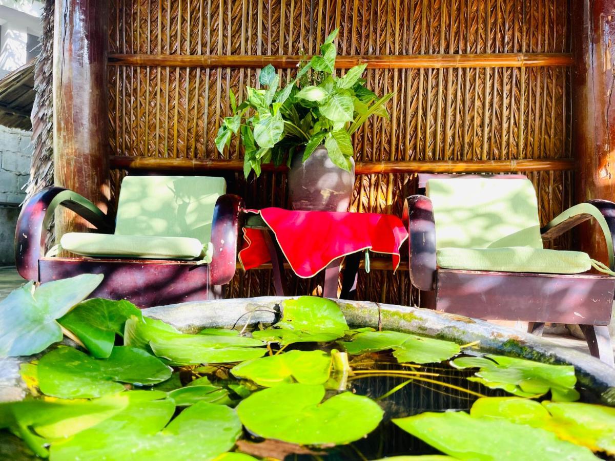Under The Coconut Tree Hoi An Homestay 외부 사진