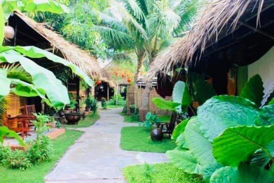 Under The Coconut Tree Hoi An Homestay 외부 사진